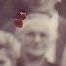 Record image of Herta Anna Meyer (geb. Sändler)