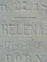 Record image of Helena Philena Wohlgemuth