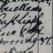 Record image of Catharina Sophia Henriksdotter Collan (o.s. Lind)