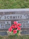 Record image of Anton John Schmitz