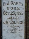 Record image of ELIZA JANE Capps (born Jones)