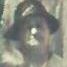 Record image of Annie Cora Thomas (born Avent)