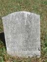 Record image of Elizabeth Wohlgemuth