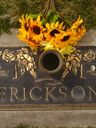 Record image of Anna Fredrika Erickson (o.s. Hedberg)