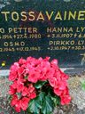Record image of Hanna Lyydia Tossavainen (born Niskanen)