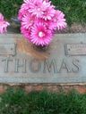 Record image of Stephen Henry Thomas