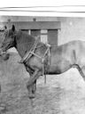 Record image of Karl Johansson