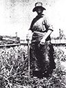Record image of Caroline Jane Cole, Mrs (born Medcraft)