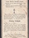 Record image of Franz Georg Goswin Schade