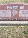 Record image of Anna Amy Stewart (born Beedle)