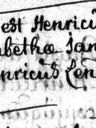 Record image of Henricus Lauwers
