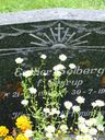 Record image of Ester Sofie Dortea Solberg (o.s. Starup)