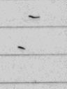 Record image of Jens Peter Sørensen Lind