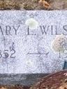Record image of Mary Lucinda Wilson (born Farnham)