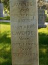 Record image of MISS Mary Ann Lavender (born Cole)