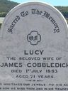 Record image of Lucy PALMER or Cobbledick (born BRANN/PALMER)