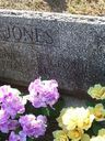 Record image of Katherine ?ann "kate" jones (born Sheffield)