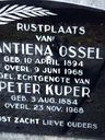 Record image of Peter Kuper