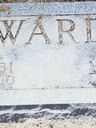 Record image of Daniel Mitchel Ward