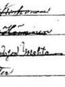 Record image of Eeva Kristiina Stiina Matintytär Mehto (born Hänninen)
