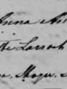 Record image of Wilhem Andersson