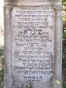 Record image of Fani Rosenbaum (born Stern)