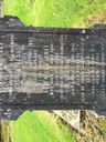 Record image of Elisabeth Gray Clark (born Scott)
