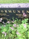 Record image of Henrik Sormunen