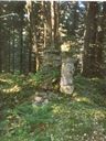 Record image of Sigfrid Sigfridsson "Sigfrid Sigfridsson Brunskog" Mangen