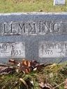 Record image of Mary Elizabeth E Lemming Sr (born McCarley)