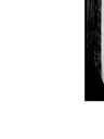 Record image of Josefa Antonia Pereira (born Carrasco Rodriguez)