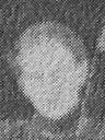 Record image of Laura May Johnson (nacida Packer)