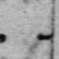 Record image of Ulrika Henricsdotter Byman (o.s. Krogell)