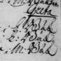 Record image of Greta Jonasson Tuddén, 229 (o.s. Gabrielsdotter)