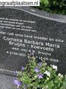 Record image of Cornelia Barbara Maria Bruijns (geboren Koevoets)