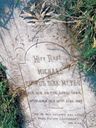 Record image of Michael Petrus Dirk Meyer