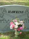 Record image of Edward Miller Hawkins