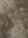 Record image of Patricia Ann Sills (nacida Roberts)