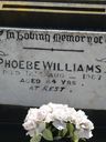 Record image of Phoebe Ann Williams (born Rayner)