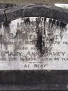 Record image of Samuel Davey