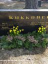 Record image of Ulriikka ( Ulla ) Kukkonen (born Pohjolainen)