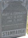 Record image of Mary Ann Stambaugh (born Hopkins)