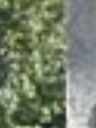 Record image of Amanda Parker (nascida Tyler)