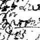 Record image of Maija Maria Nilsson (born Svensdotter)