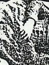 Record image of ETHEL MATILDA CATHERINE VEAZEY (born MARSHALL)