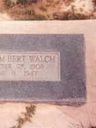 Record image of William Bert Walch