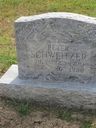 Record image of Peter Schweitzer