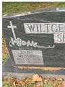 Record image of Anna S. Wiltgen-Johnson (born Messing)