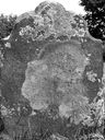 Record image of Deborah Williams (Fanning) (nacida Parke)
