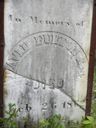 Record image of David SQUIRE Wife:Sarah Mortamer Fulton Iii (born Brown) Fulton